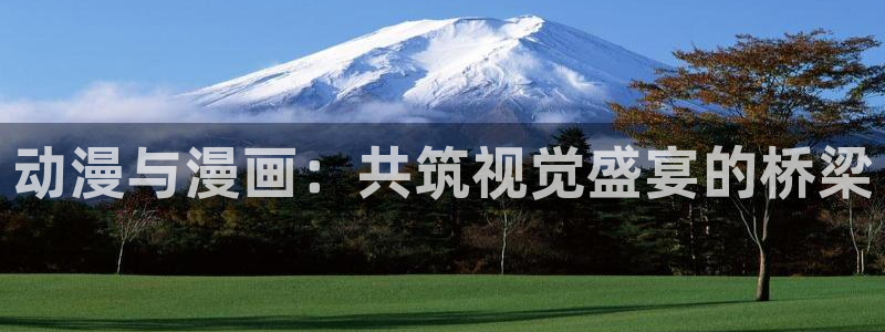 凌天传说漫画奇漫屋：动漫与漫画：共筑视觉盛宴的桥梁