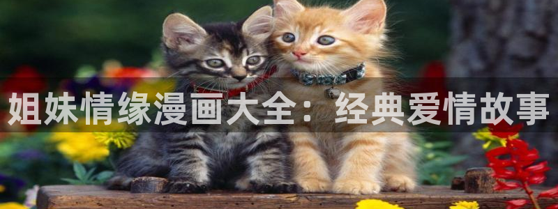 通天之路免费下拉式奇漫屋