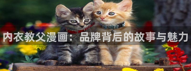 奇漫屋最新版下载